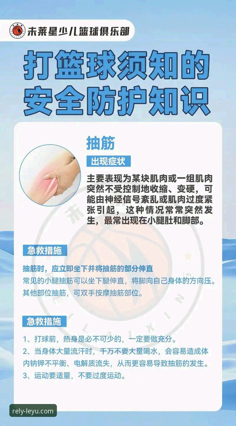 乐鱼体育平台安全性最新动态：深度解析用户核心关切与防护机制
